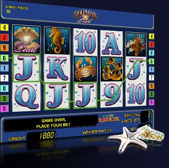 Web slots ru cool air. Касса дельфина Саров.