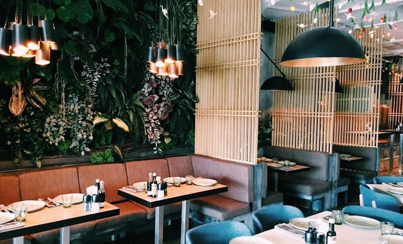 Кафе радость